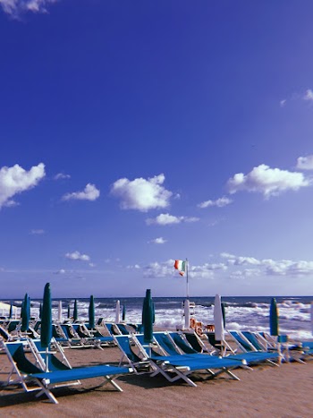 Lounge Chairs 