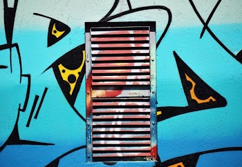 louvered door with mural
