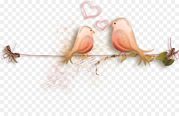 Love - Amour 