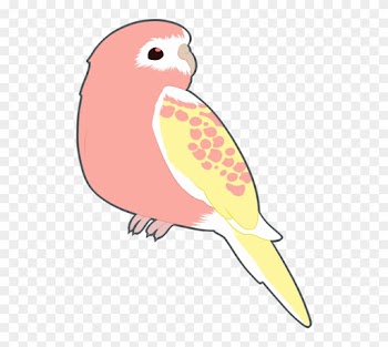 Love Birds For Wedding Cliparts - Transparent Bird