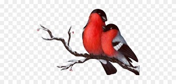 Love Birds Silhouette Png Gallery Images And Information - Wedding