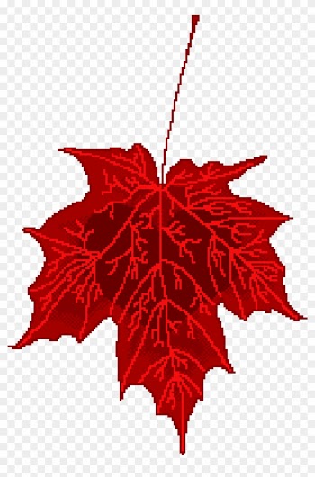 Love By X Don X - Maple Leaf