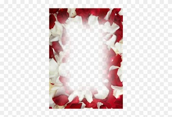 Love Frame New - Whole Blossoms Fresh Red White Rose Petals