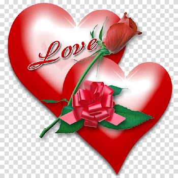 Love Frames Frames Garden roses Android Window, girl background transparent background PNG clipart