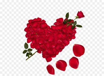 Love Girlfriend Boyfriend Friendship - Heart rose 