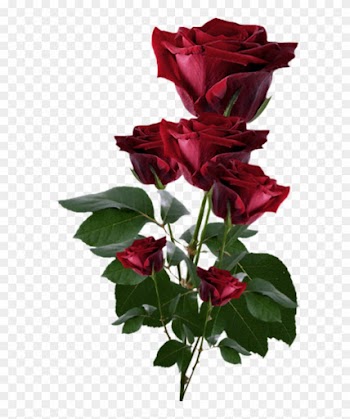 Love Id - Roses Png