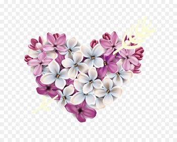 Love Lilac Illustration - It is composed of floral heart Cupid shot 