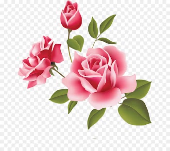 Love Otto Florist & Gifts Flower Community of the Lady of All Nations Drawing - apricot blossom vector 