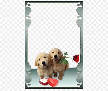 Love Photo Frames Picture frame Photography Android - Puppy Valentine's Day floral frame 