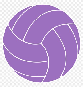 Love Purple Cliparts - Old Soccer Ball Vector