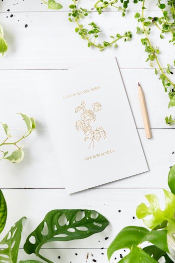 Love quote and rose drawing on white paper  | Free stock photo | High Resolution image