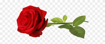 Love Red Rose Single Png Clip Art - Rose Transparent Png
