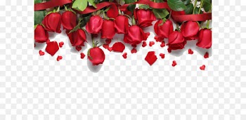 Love song Romance Royalty-free - Red roses background 