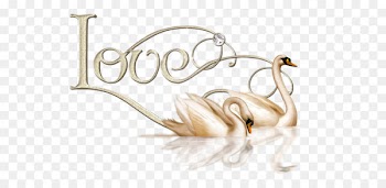 Love - Valentine Love Swans PNG Clipart 