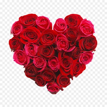 Love Valentines Day Greeting card Romance Heart - Heart rose 