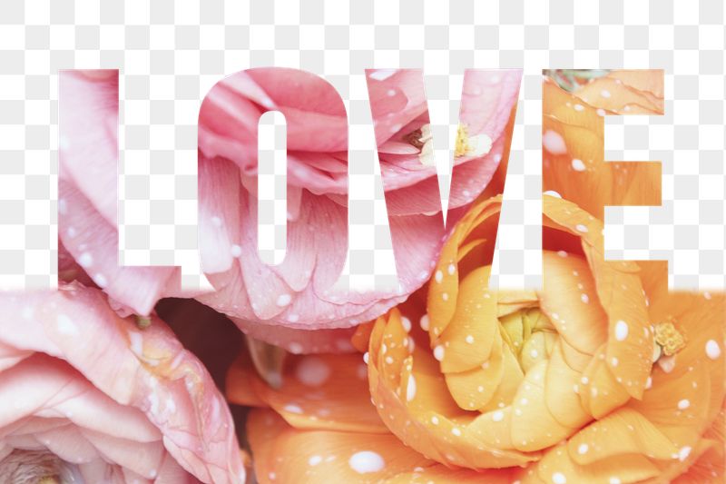 Love word png border sticker, | Free PNG - rawpixel
