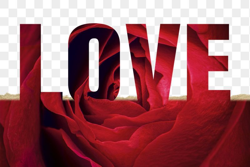 Love word png border sticker, | Free PNG - rawpixel
