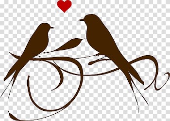 Lovebird , Animal Lover transparent background PNG clipart