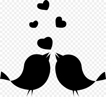 Lovebird Clip art Image Portable Network Graphics -  