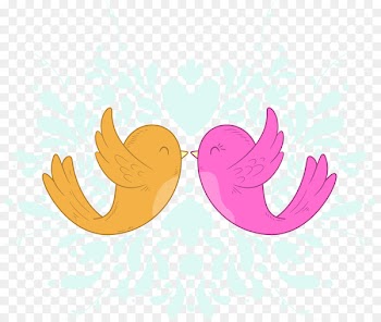 Lovebird Euclidean vector Illustration - Vector Cute love birds 