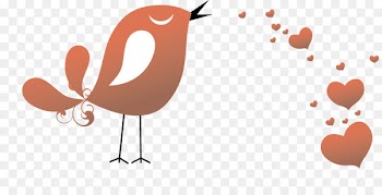 Lovebird Illustration - Vector Love birds 
