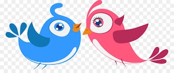 Lovebird Owl - Bird lovers 