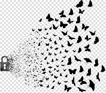 Lovebird Parrot, birds transparent background PNG clipart