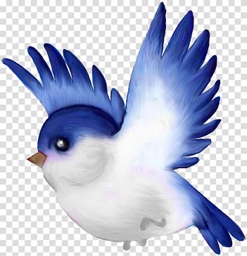 Lovebird Parrot , flowers frame transparent background PNG clipart