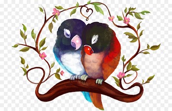 Lovebird Parrot - Vector painted peony parrot nestled 