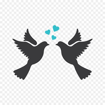 Lovebird Silhouette Drawing Clip art - Bird 