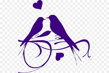 Lovebird Swallow Clip art Silhouette - swag ribbon 