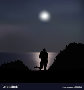 Loving couple on the seashore at night vector image