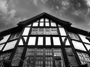 Low-angle Gray Scale Photography of Building