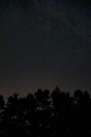 low angle of starry night