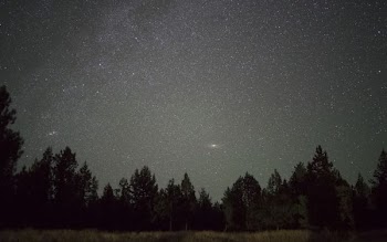 low angle of starry sky