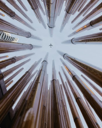 Low Angle Photo of Aeroplane Flying Over Buildings