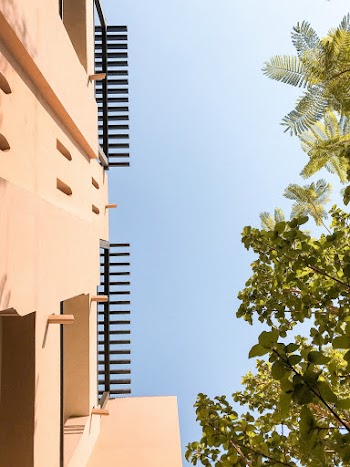 Low Angle Photo of Beige and Black Concrete Building and Green-leafed Trees