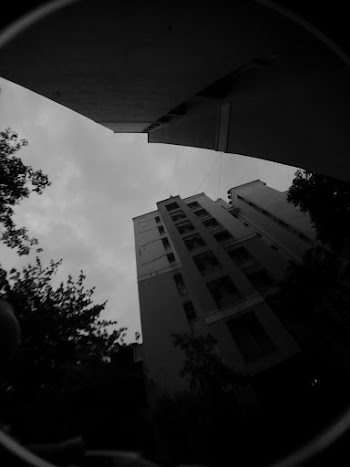 Low-angle Photo of Building