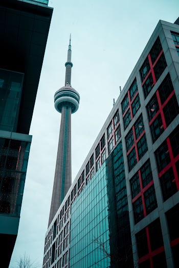 Low Angle Photo of Buildings