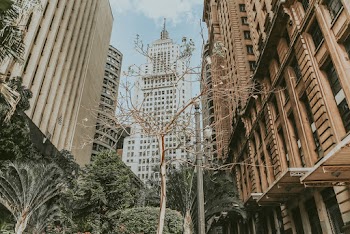Low Angle Photo of Buildings