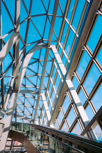 Low Angle Photo of Ceiling and Glass Wall