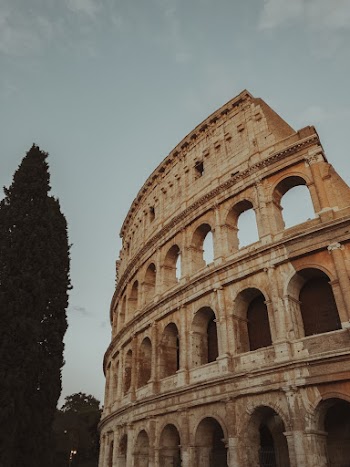 Low-Angle Photo of Colloseum