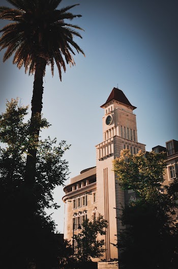 Low-Angle Photo of Concrete Buildings Beside Trees