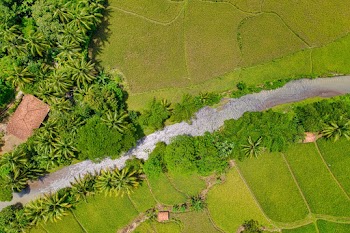 Low Angle Photo Of Green Grass Fields