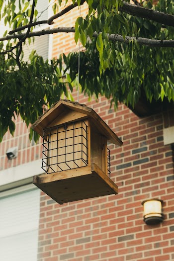 Low-angle Photo of Hanging Birdhouse on Tree