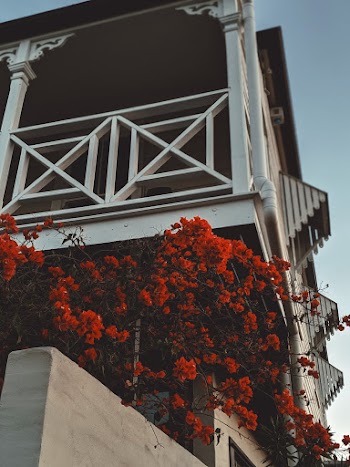 Low-Angle Photo of House With Red Flowers