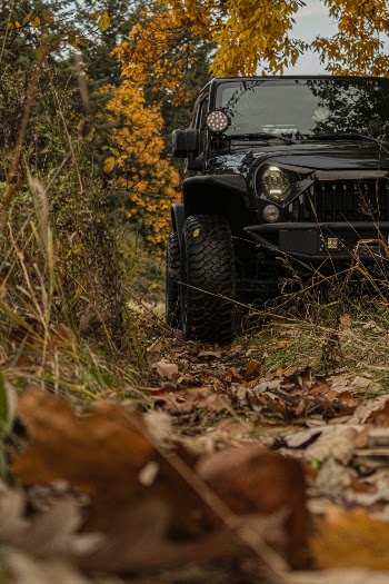 Low Angle Photo of Jeep Wrangler