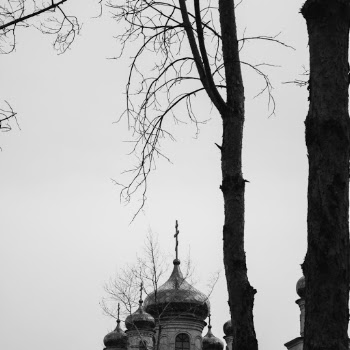 Low-angle Photo of Mosque