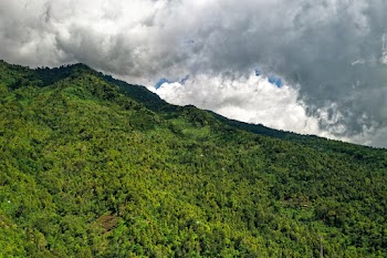 Low Angle Photo of Mountain