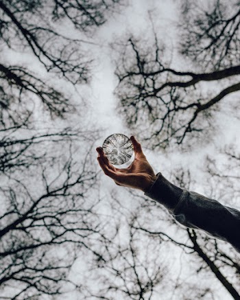 Low Angle Photo of Person Holding Crystal Ball